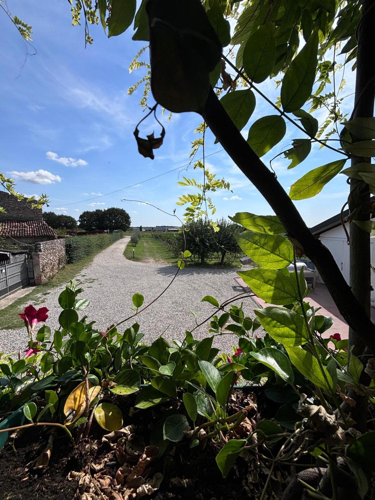Agriturismo I Mischi Castelnuovo del Garda Luaran gambar