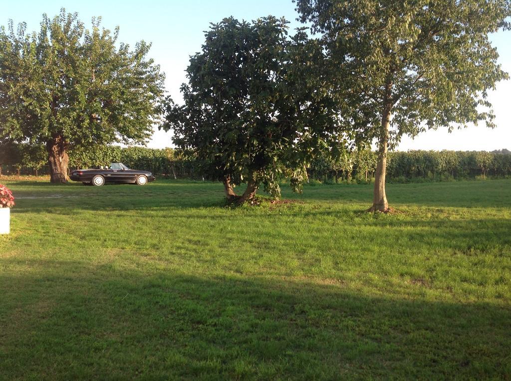 Agriturismo I Mischi Castelnuovo del Garda Luaran gambar